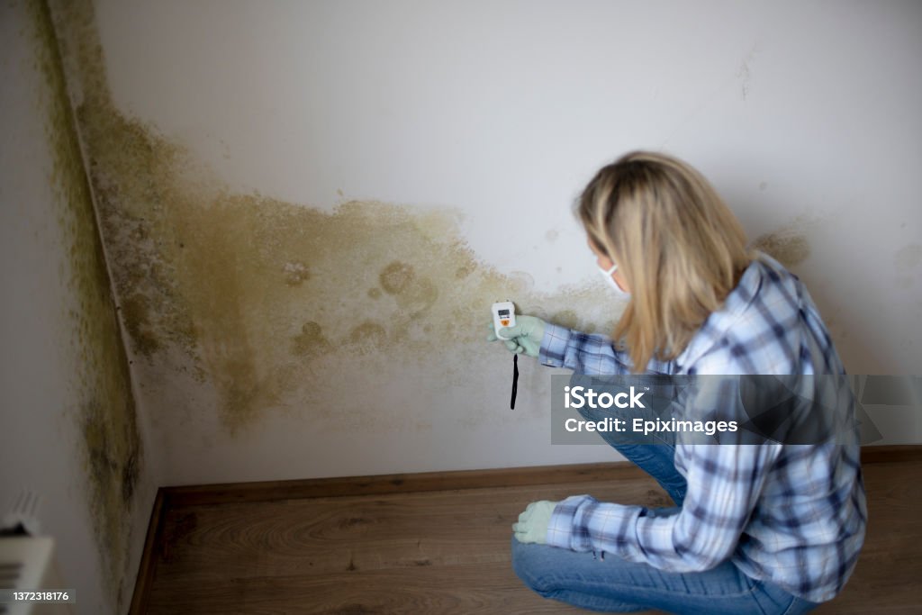 young woman measures the humidity on a wall with a lot of mold in an apartment